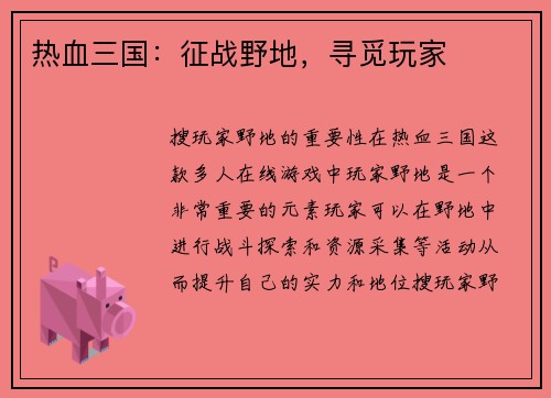 热血三国：征战野地，寻觅玩家